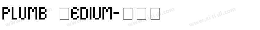 plumb Medium字体转换